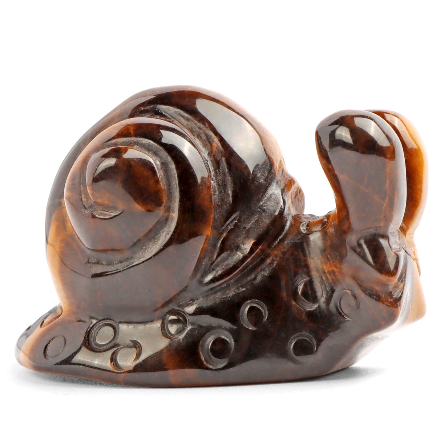 2" Tiger Eye'S Snails Carving - Smqartcrystal