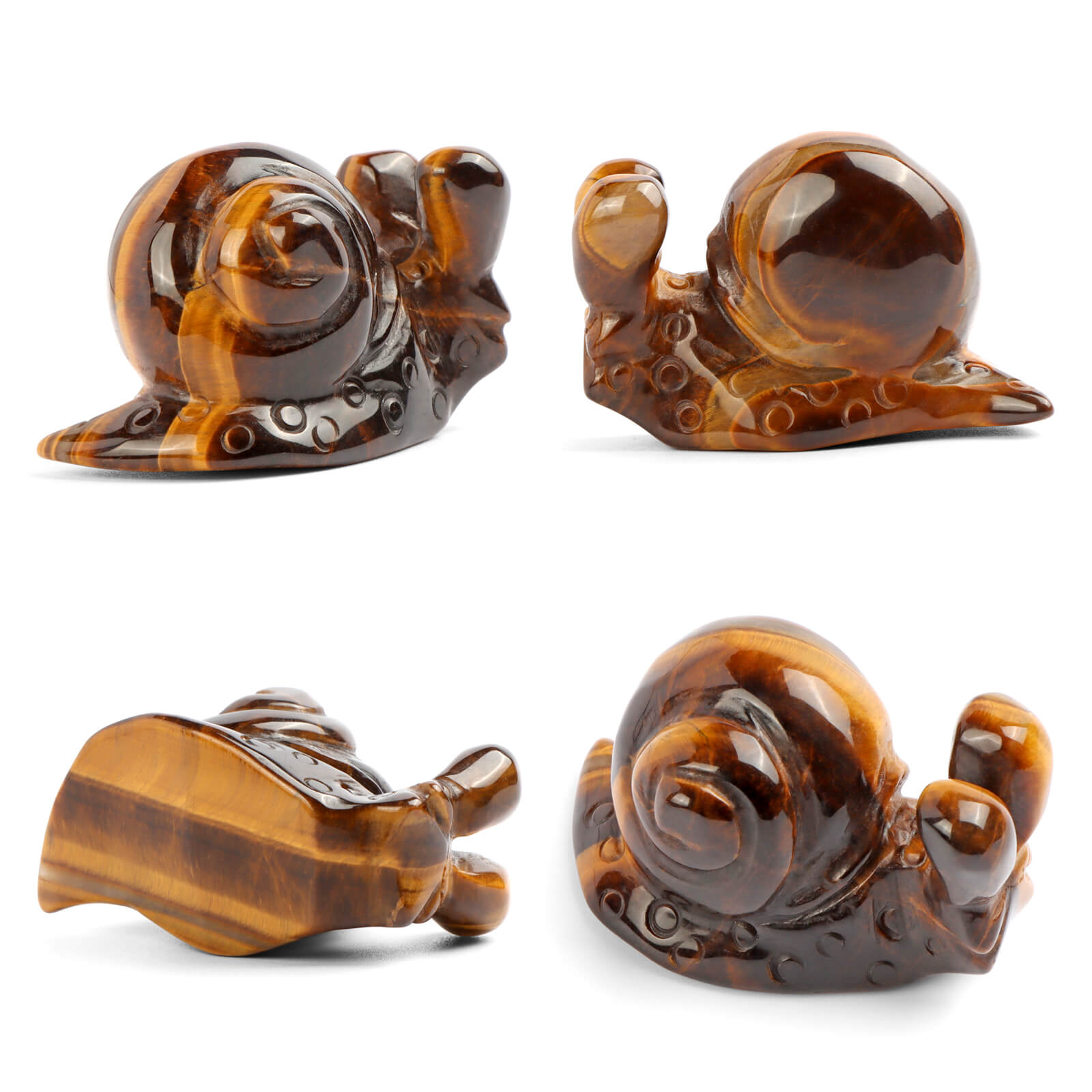 2" Tiger Eye'S Snails Carving - Smqartcrystal