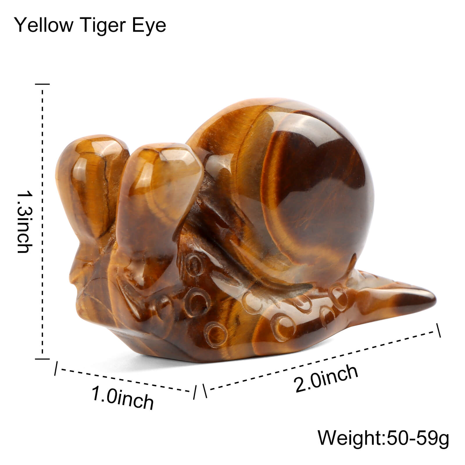 2" Tiger Eye'S Snails Carving - Smqartcrystal