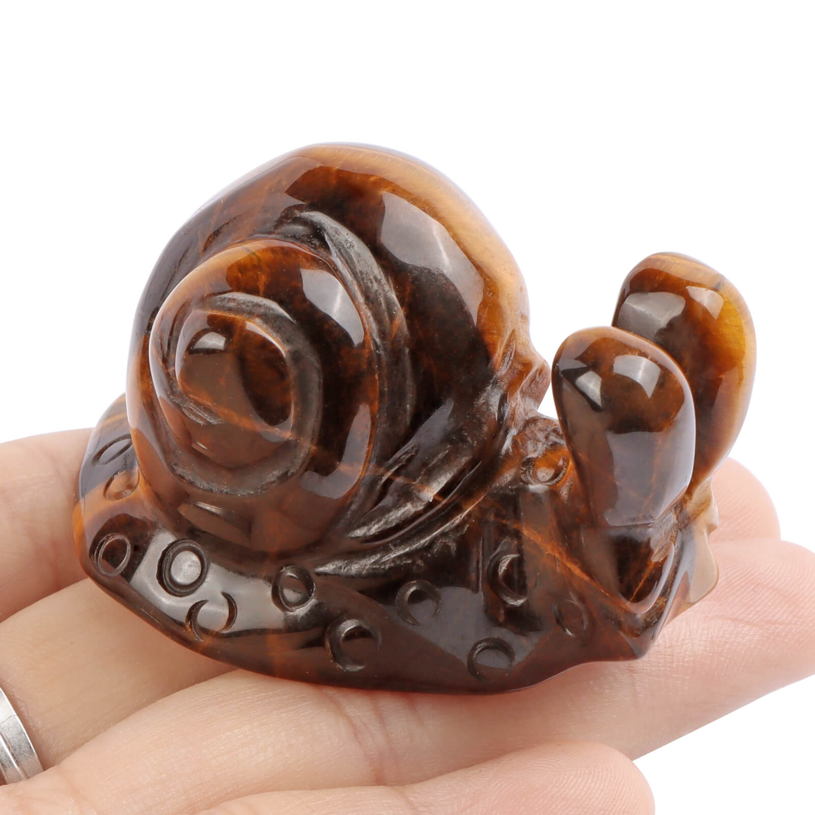 2" Tiger Eye'S Snails Carving - Smqartcrystal